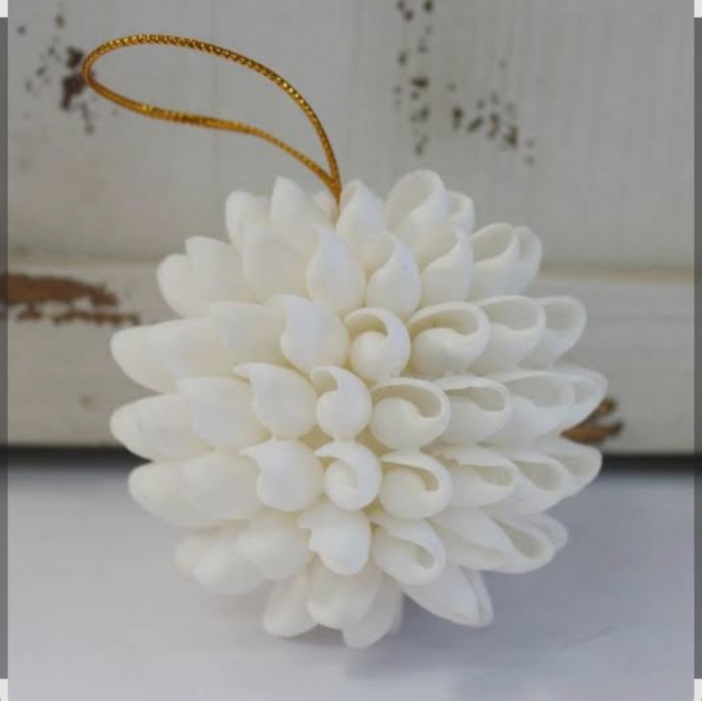 Charming White Puka Shell Ornament